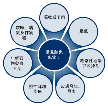 Common signs of food allergies and food intolerance