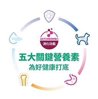 資訊圖表說明幼犬健康的 5 項基本要素