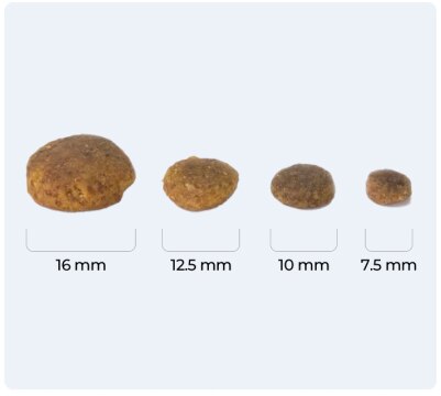Food Size