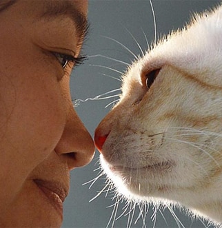 女人和猫鼻子对鼻子