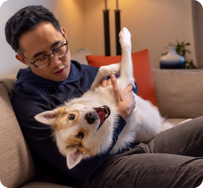 Dog being petted