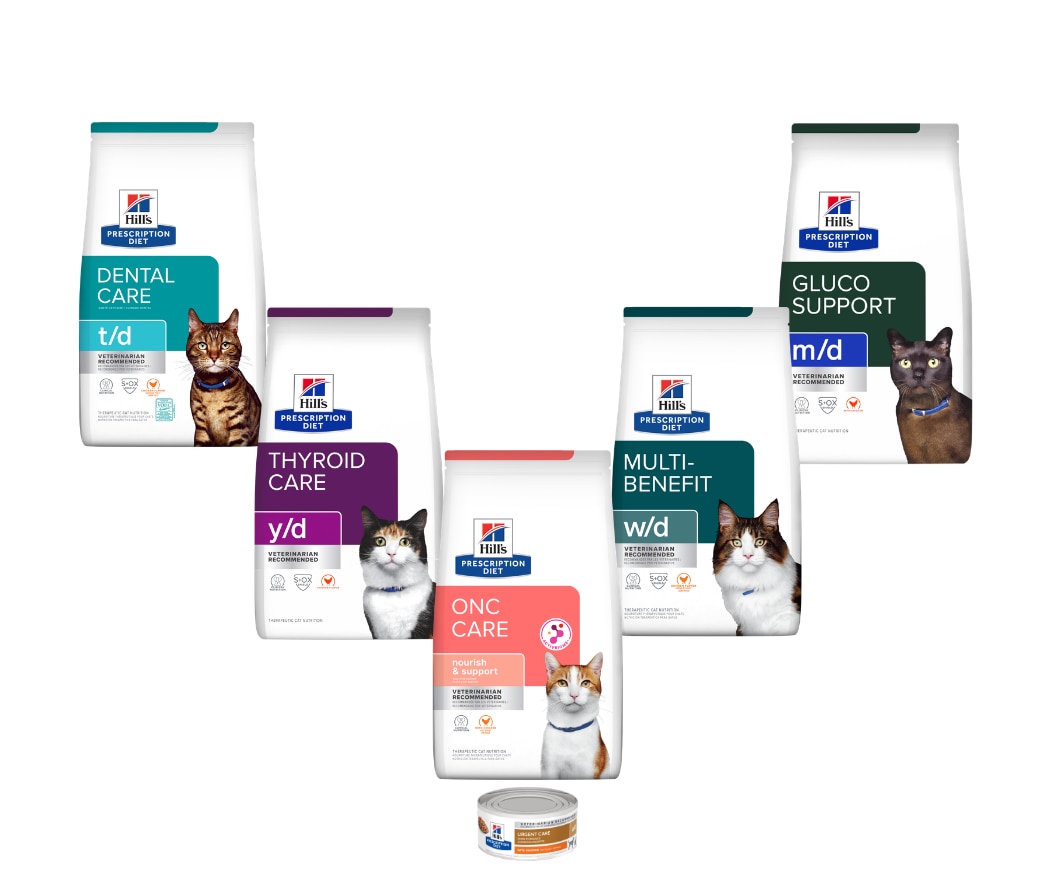 Prescription Diet  cat food