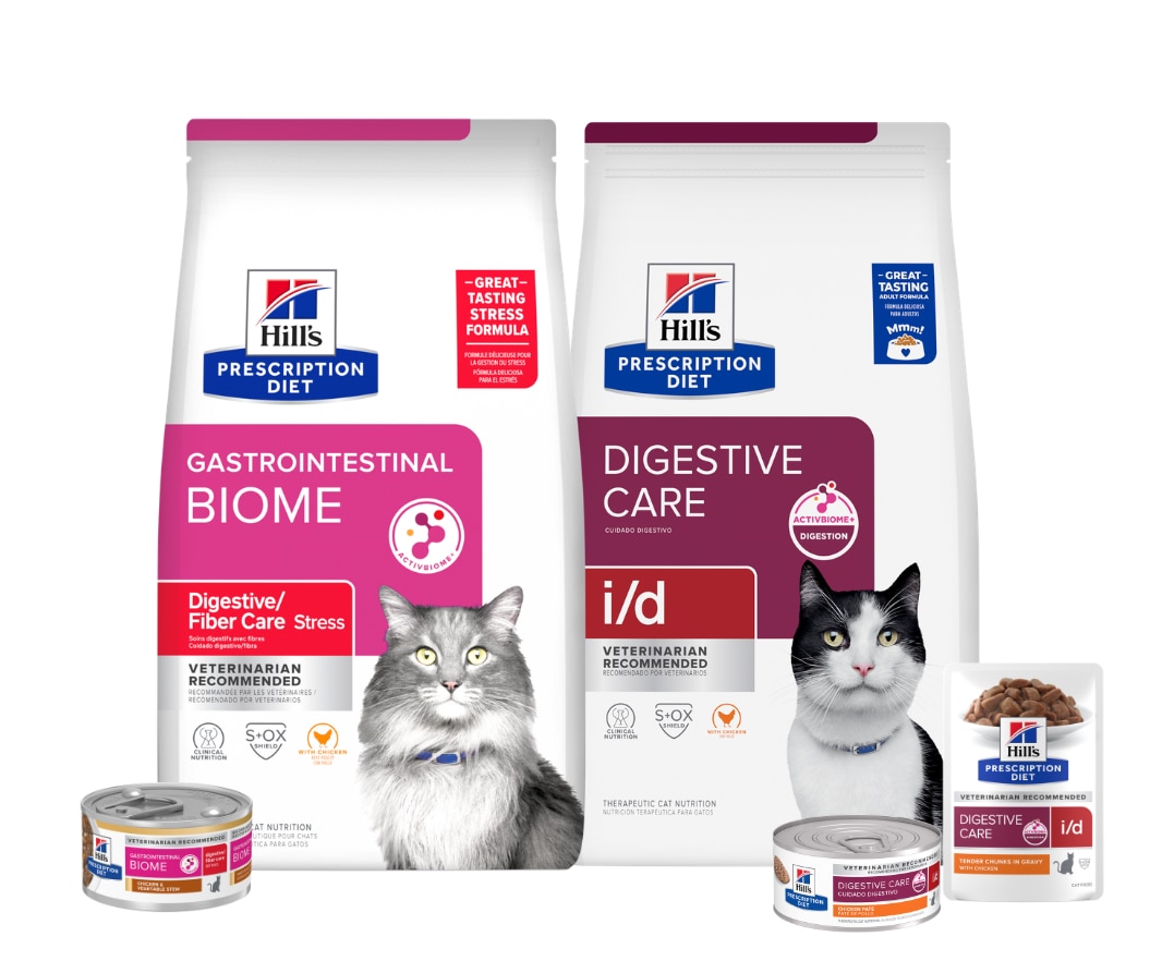 Prescription Diet Digestive care cat food