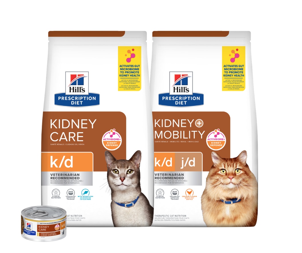 Kidney care cat food 