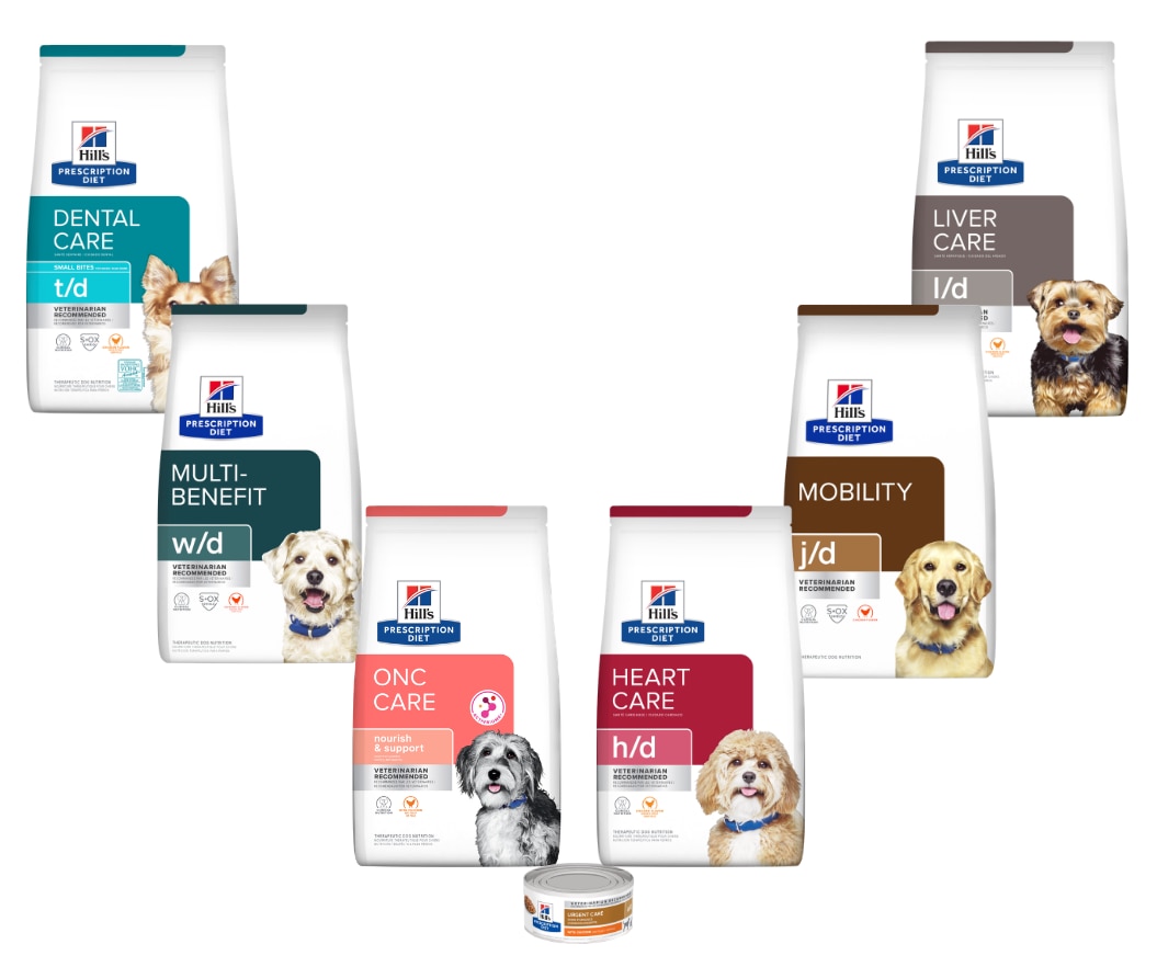 Science Diet for small and large breed 