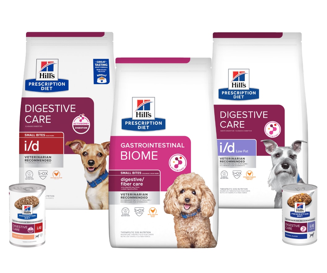 Prescription Diet Digestive care dog food