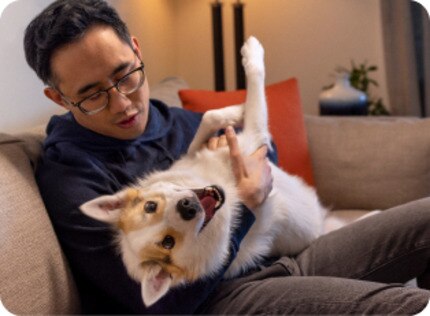 Dog being petted