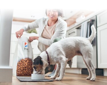 Dog eating his Hills food in his bowl