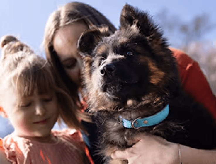 一名女性和一名女孩抱著一隻幼犬
